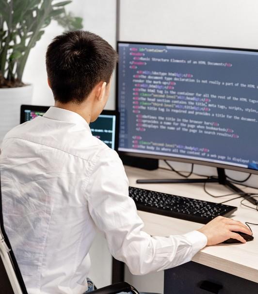 WordPress development virtual assistant