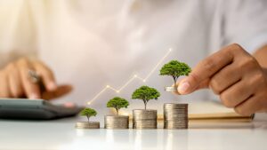 Maximizing Amazon Profits The Smart Way to Go Beyond Revenue Growth